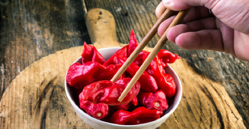 Papryczka chili Bhut Jolokia – Papryczka demonów