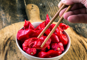 Papryczka chili Bhut Jolokia – Papryczka demonów