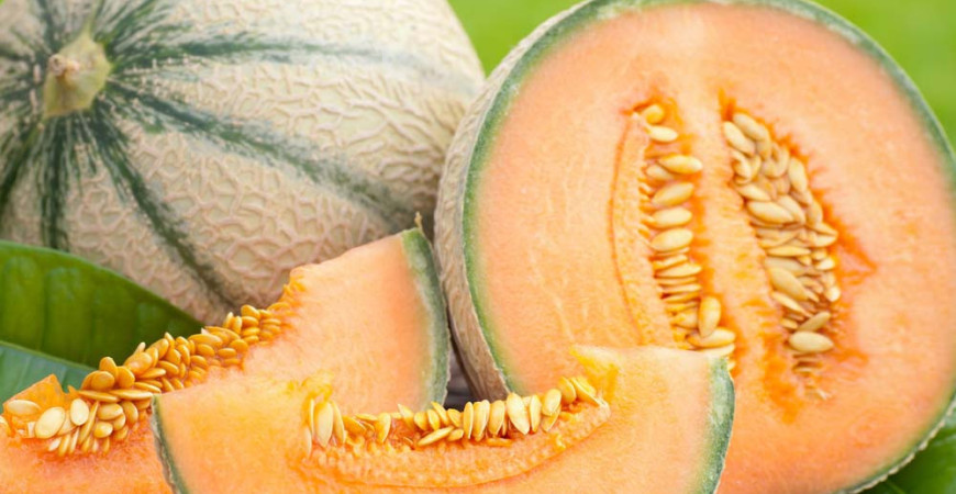 Wyhoduj sobie melona cukrowego. Nawet w czeskim ogrodzie jest to możliwe.