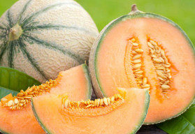 Wyhoduj sobie melona cukrowego. Nawet w czeskim ogrodzie jest to możliwe.