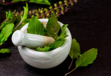 Tulsi – święte zioło i jego zastosowanie